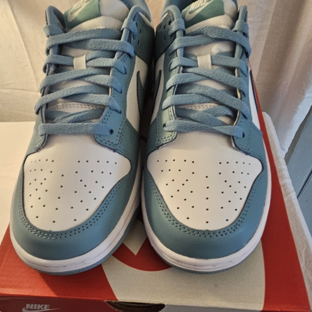 Nike Kids Blue and White Sneakers